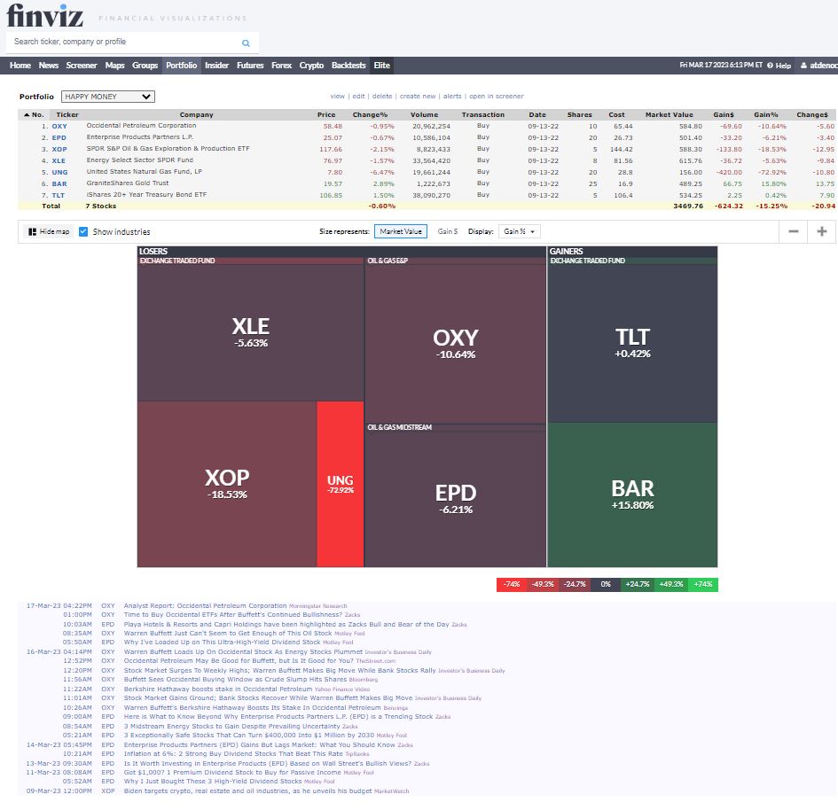 Finviz Custom Portfolio
